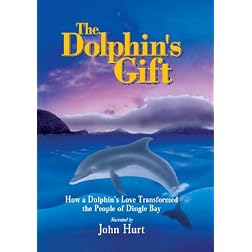 Dolphin's Gift