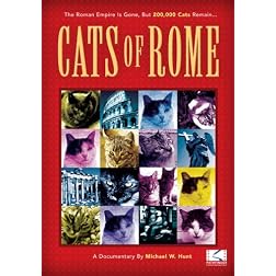 Cats Of Rome
