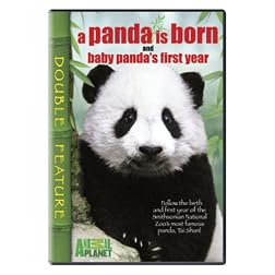 A Panda Is Born/Baby Panda's First Year