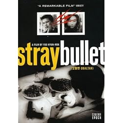 Stray Bullet
