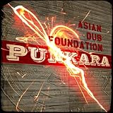 Punkara by Asian Dub Foundation