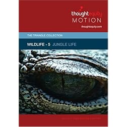 Wildlife 5 - Jungle Life
