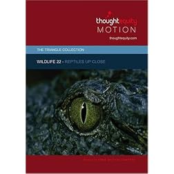 Wildlife 22 - Reptiles Up Close