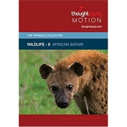 Wildlife 8 - African Safari
