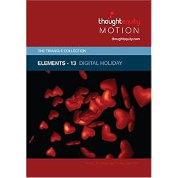 Elements 13 - Digital Holiday