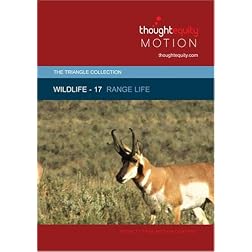 Wildlife 17 - Range Life