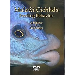 Malawi Cichlids Feeding Behavior, A Seminar by Ad Konings