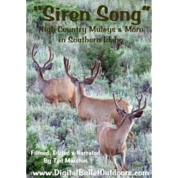 Siren Song