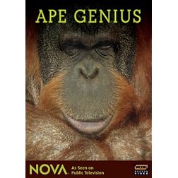 Ape Genius