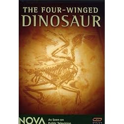 NOVA: The Four-Winged Dinosaur