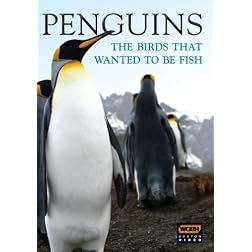 Wgbh Boston Specials: Penguins - Birds Who Wanted
