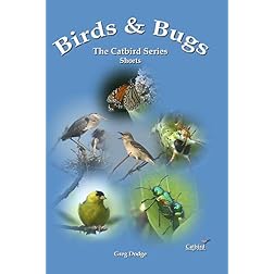 Birds & Bugs