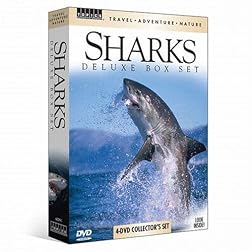Sharks