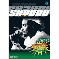 Live at Chiemsee Reggae Summer