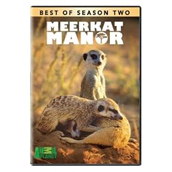 Best of Meerkat Manor - Season 2