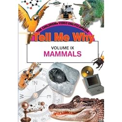 MAMMALS