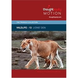Wildlife 13 - Lions' Den