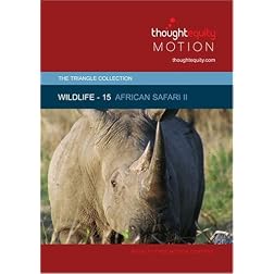 Wildlife 15 - African Safari II
