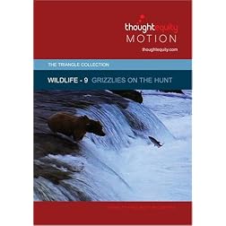 Wildlife 9 - Grizzlies on the Hunt