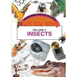 INSECTS
