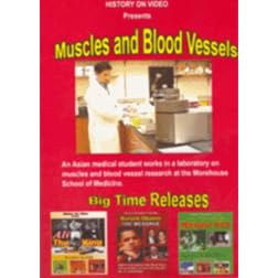 Muscles and Blood Vessels