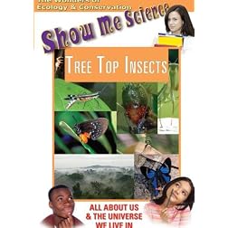 Ecology: Tree Top Insects