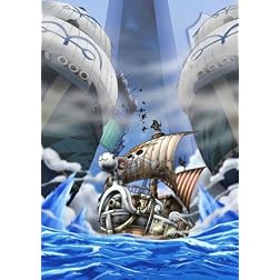 One Piece 9th Season Special Mugiwa