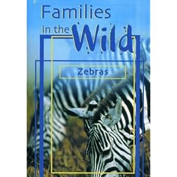 Zebras