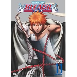 Bleach Vol. 11