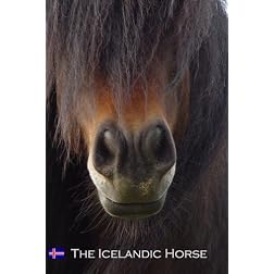 The Icelandic Horse