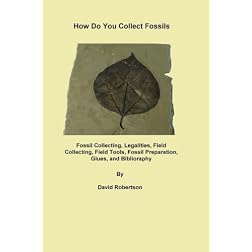How Do You Collect Fossils