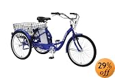 iZip 2008 Tricruiser Adult Electric Tricycle (24-Inch Wheels)