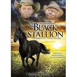 The Adventures of the Black Stallion : The Complete Third Season