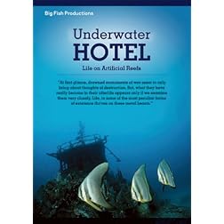Underwater Hotel: Life On Artificial Reefs