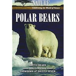 Nature: Polar Bears