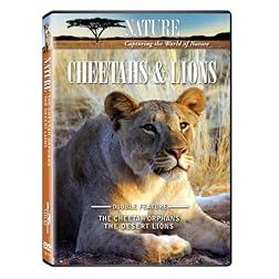 Nature: Cheetahs and Lions