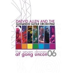 The Seven Drones at Gong