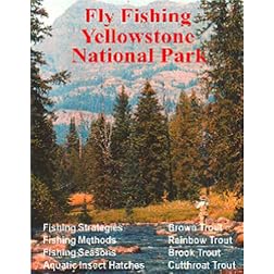 Fly Fishing Yellowstone National Park