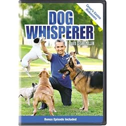 Dog Whisperer with Cesar Millan: Cesar's Canine Makeovers