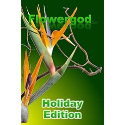 Floral Design By The Flowergod Holiday Edition
