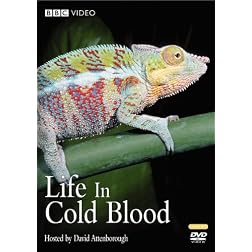 Life in Cold Blood