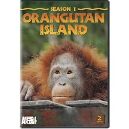 Orangutan Island - Season 1