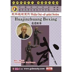 Huajinzhuang Boxing