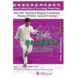 Sun-style Youshen Bagua Lianhuan Zhang (Palm) Actual Combat