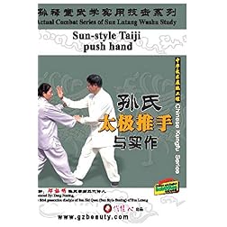 Sun-style Taiji push hand.