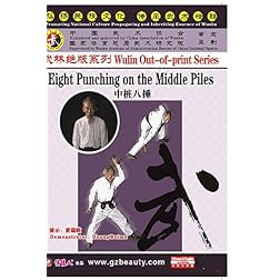 New Second Routine Hong Boxing