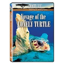 Nature: Voyage of the Lonely Turtle