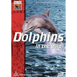 Dolphins in the Wild