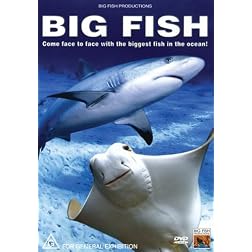 Big Fish: Come Face to Face with the Biggest Fish in the Ocean!