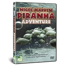 Pirahnas With Nigel Marven